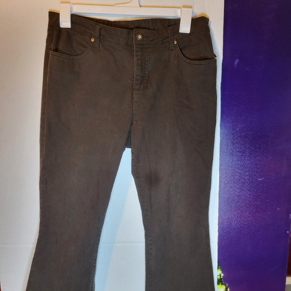 Classic Elements Petite Size 14P  Brown Jeans